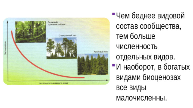 Чем беднее видовой состав сообщества, тем больше численность отдельных видов. И наоборот, в богатых видами биоценозах все виды малочисленны.