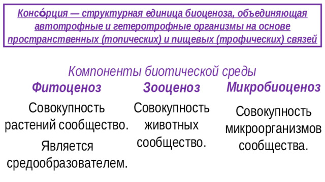 Консо́рция — структурная единица биоценоза, объединяющая автотрофные и гетеротрофные организмы на основе пространственных (топических) и пищевых (трофических) связей Компоненты биотической среды Микробиоценоз Фитоценоз Зооценоз Совокупность растений сообщество. Совокупность животных сообщество. Совокупность микроорганизмов сообщества. Является средообразователем.