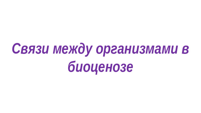 Связи между организмами в биоценозе