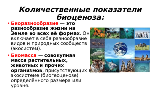 Количественные показатели биоценоза: