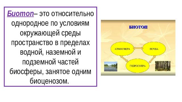 Биотоп – это относительно однородное по условиям окружающей среды пространство в пределах водной, наземной и подземной частей биосферы, занятое одним биоценозом.