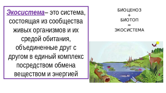 Экосистема – это система, состоящая из сообщества живых организмов и их средой обитания, объединенные друг с другом в единый комплекс посредством обмена веществом и энергией БИОЦЕНОЗ + БИОТОП = ЭКОСИСТЕМА