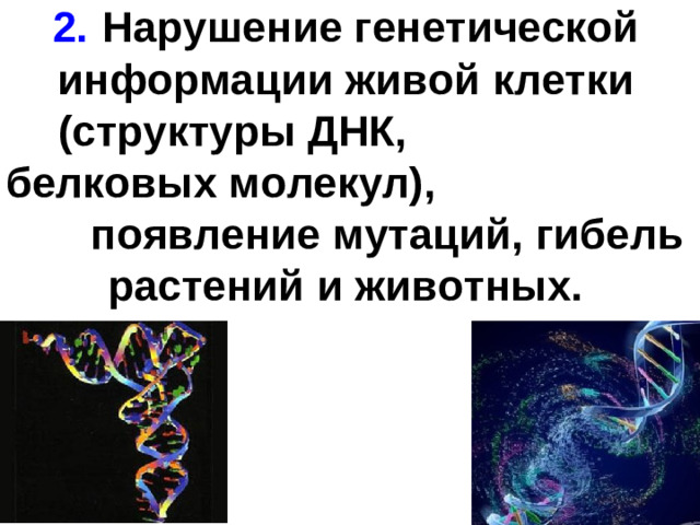 2.  Нарушение генетической информации живой клетки (структуры ДНК, белковых молекул), появление мутаций, гибель растений и животных.
