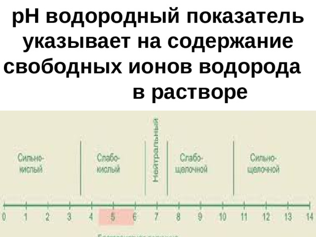 рН водородный показатель указывает на содержание свободных ионов водорода в растворе