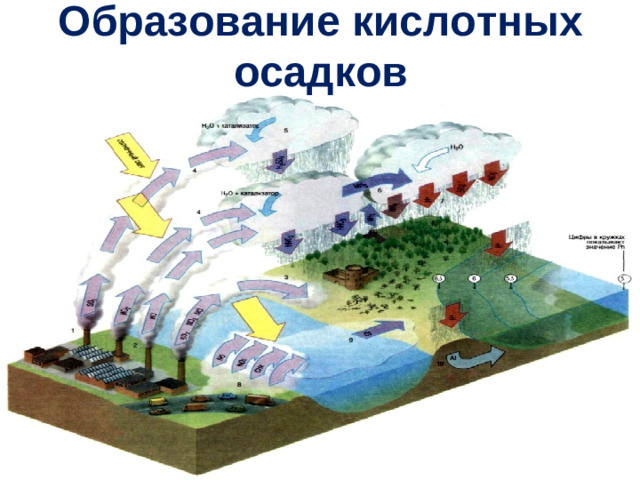 Образование кислотных осадков