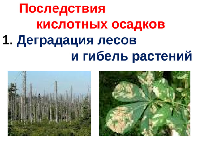 Последствия кислотных осадков  1.  Деградация лесов и гибель растений