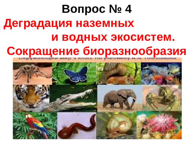 Вопрос № 4 Деградация наземных и водных экосистем. Сокращение биоразнообразия