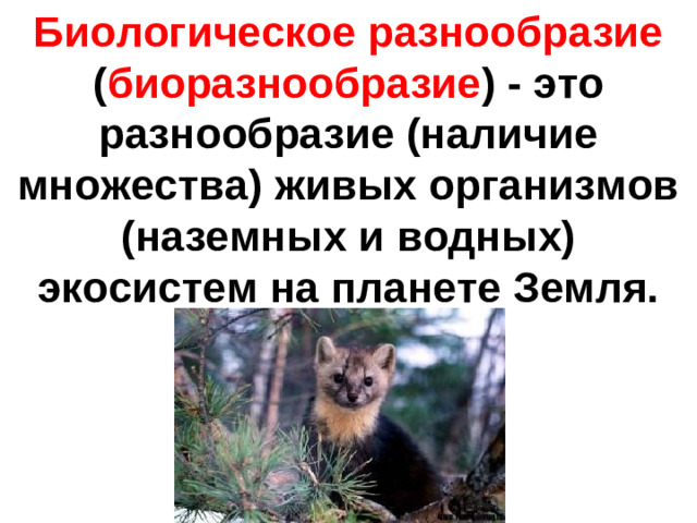 Биологическое разнообразие ( биоразнообразие ) - это разнообразие (наличие множества) живых организмов (наземных и водных) экосистем на планете Земля.