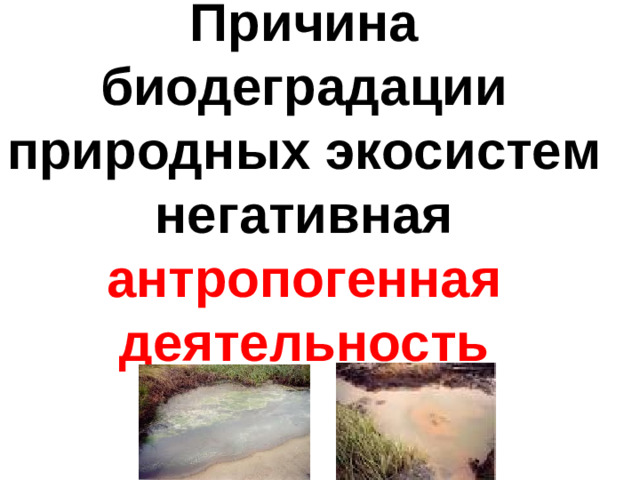                                                                                                                                                                                                                                                                                                                                                                                                                                                                                                                                                                                                                                                                                                                                    Причина биодеградации природных экосистем  негативная антропогенная деятельность