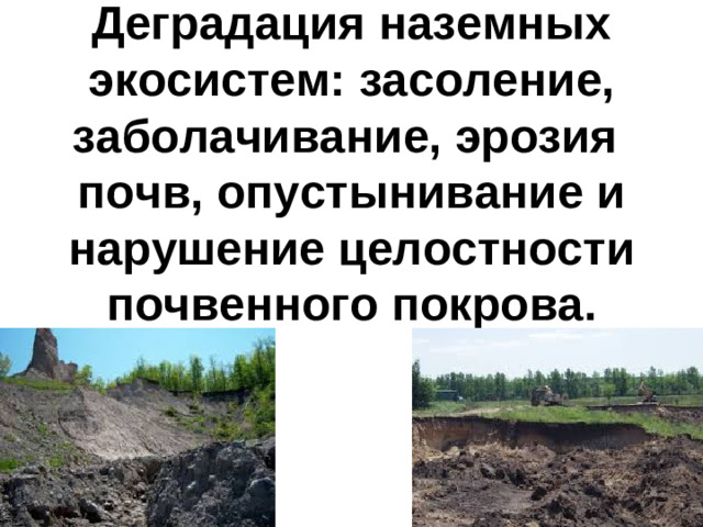 Деградация наземных экосистем: засоление, заболачивание, эрозия почв, опустынивание и нарушение целостности почвенного покрова.