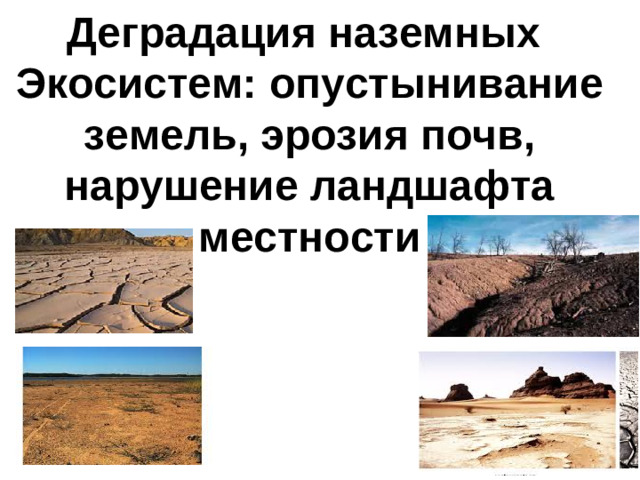 Деградация наземных Экосистем: опустынивание земель, эрозия почв, нарушение ландшафта местности