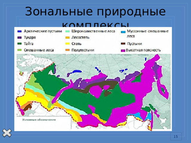 Зональные природные комплексы 13