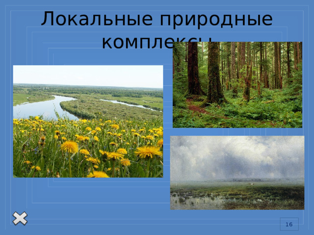 Локальные природные комплексы 13