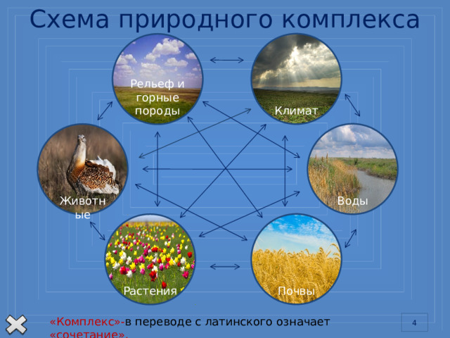 Схема природного комплекса Климат Рельеф и горные породы Воды Животные Почвы В каком бы месте на земной поверхности мы ни находились, везде нас окружает природный комплекс. Мы видим горные породы, слагающие рельеф, воды морей, озер, рек, источников, дышим воздухом и наблюдаем изменения состояния атмосферы (погоду, климат), знакомимся с растениями, животными и другими организмами. Растения «Комплекс»- в переводе с латинского означает «сочетание».