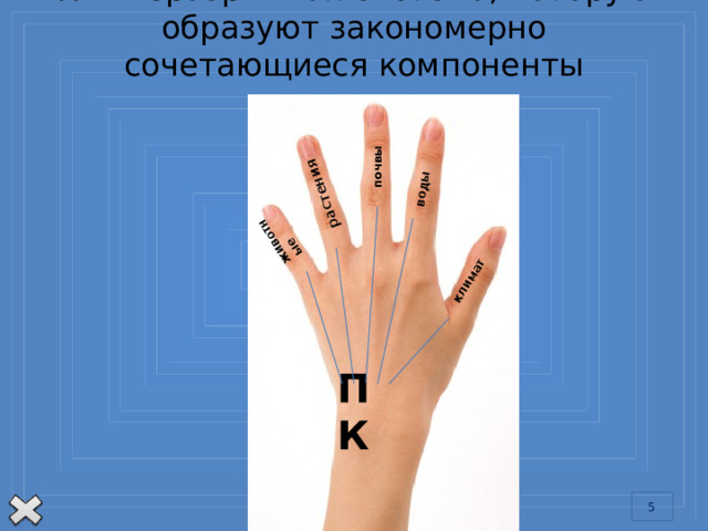 ПК- неразрывная система, которую образуют закономерно сочетающиеся компоненты природы. климат воды почвы растения животные   Обведите в тетрадях кисть руки. Каждый палец руки – это «природный компонент». Все вместе они вместе составляют единую неразрывную систему, которая называется природный комплекс (ПК). Каждому ПК независимо от его размеров, присуще свое закономерное сочетание компонентов и их тесная взаимосвязь (целостность). Нарушать целостность нельзя. Все возможные изменения природных комплексов трудно, но совершенно необходимо заранее предвидеть. Для этого природные комплексы надо изучать, выяснять взаимосвязи их компонентов. ПК
