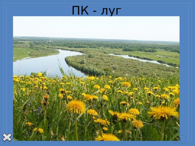 ПК - луг Другой пример. На реке возвели плотину, и выше нее образуется водохранилище. Увеличится площадь водной поверхности, больше станет испаряться воды, повысится влажность воздуха. Уровень воды поднимается не только в водохранилище, но и в реке, впадающей в него, в ее притоках. Если уровень воды в водохранилище окажется выше уровня грунтовых вод, вода из водохранилища начнет их пополнять. Повышение уровня грунтовых вод может вызывать заболачивание местности. Растительность сменится влаголюбивой, погибнут деревья, пострадают почвы. Изменения произойдут и в мире животных. Другим станет весь природный комплекс.