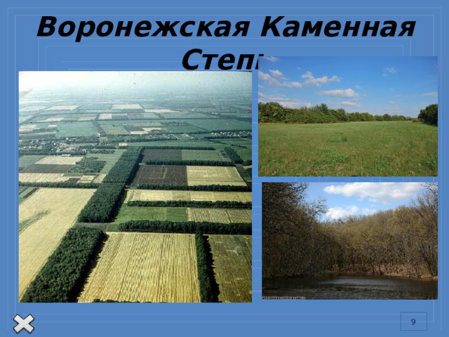Воронежская Каменная Степь Взаимосвязи компонентов природы важно знать не только для того, чтобы не повредить окружающей природе, но и для того, чтобы улучшать ее. Примером улучшения природы может служить Каменная степь(Воронежская область).  Всего двести лет назад здесь царили нетронутые природные ландшафты с густыми дубравами, дерезняковыми зарослями и осиновыми кустами. Затем началось освоение человеком этой местности: вырубались леса, распахивались степи. Все это привело к снижению грунтовых вод, обмелению водоемов, вследствие чего участились засухи, и земля стала бесплодной и по своей твердости напоминала камни. С этого времени и стали в народе называть степь Каменной. 