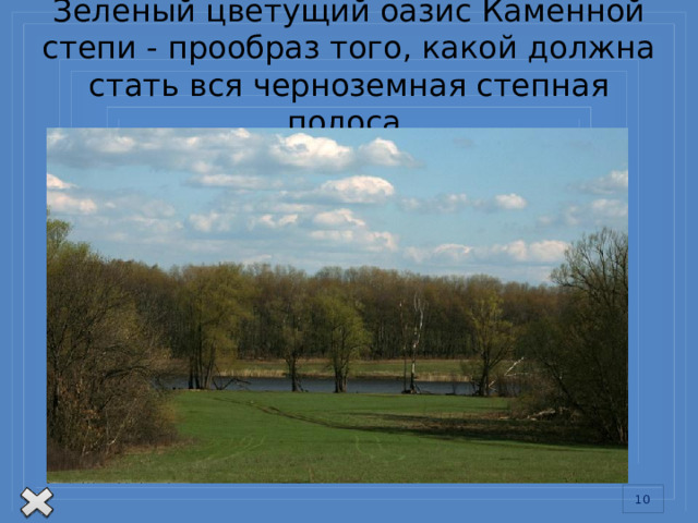 Зеленый цветущий оазис Каменной степи - прообраз того, какой должна стать вся черноземная степная полоса. В 1892 г. группа ученых во главе с Василием Васильевичем Докучаевым, великим русским ученым, основоположником учения о почве, приступила к организации здесь интересного и необычайно смелого эксперимента. Было решено засушливую степь переделать самым решительным образом, создать на ней такие условия, чтобы не только прекратилось дальнейшее ее иссушение, образование оврагов и смывание черноземов, но и восстановилось ее плодородие, климат сделался более мягким, а урожаи - более высокими.  Основой для проведения работ по преобразованию природы Каменной степи Докучаев считал создание защитных лесных полос, строительство прудов.