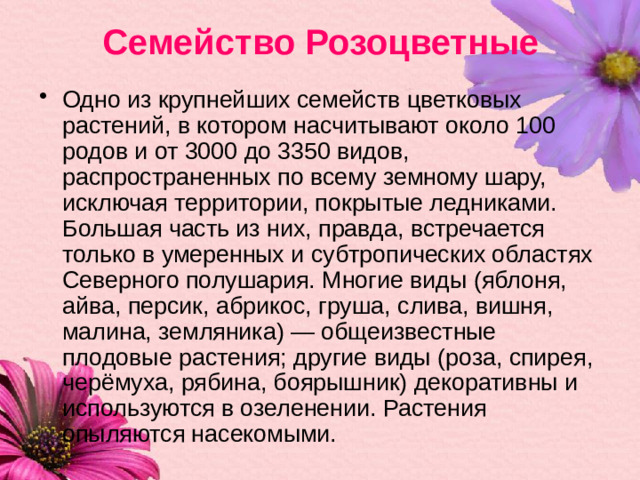 Семейство Розоцветные