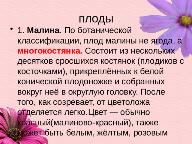 плоды