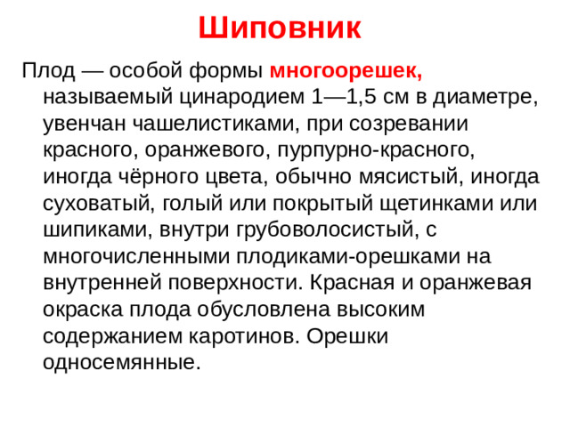 Шиповник Плод — особой формы многоорешек, называемый цинародием 1—1,5 см в диаметре, увенчан чашелистиками, при созревании красного, оранжевого, пурпурно-красного, иногда чёрного цвета, обычно мясистый, иногда суховатый, голый или покрытый щетинками или шипиками, внутри грубоволосистый, с многочисленными плодиками-орешками на внутренней поверхности. Красная и оранжевая окраска плода обусловлена высоким содержанием каротинов. Орешки односемянные.