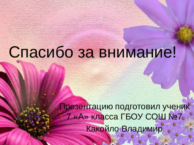 Спасибо за внимание! Презентацию подготовил ученик 7 «А» класса ГБОУ СОШ №7 Какойло Владимир