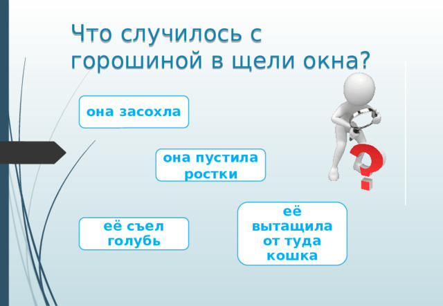 Что случилось с горошиной в щели окна? она засохла она пустила ростки её вытащила от туда кошка её съел голубь
