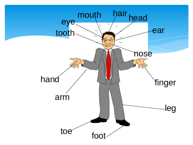hair mouth head eye ear tooth nose hand finger arm leg toe foot