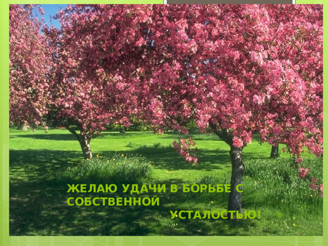 Желаю удачи в борьбе с  собственной  усталостью!