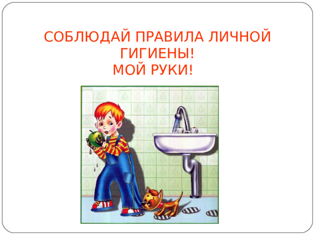 СОБЛЮДАЙ ПРАВИЛА ЛИЧНОЙ ГИГИЕНЫ! МОЙ РУКИ!