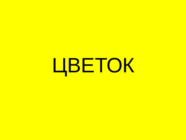 ЦВЕТОК