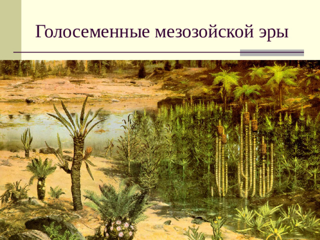 Голосеменные мезозойской эры