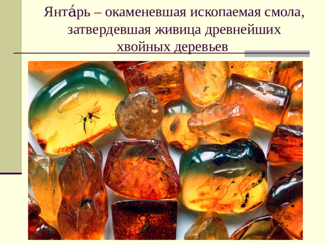 Янта́рь – окаменевшая ископаемая смола, затвердевшая живица древнейших хвойных деревьев 