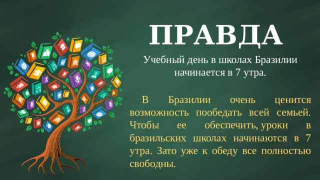 ПРАВДА Учебный день в школах Бразилии начинается в 7 утра.  В Бразилии очень ценится возможность пообедать всей семьей. Чтобы ее обеспечить, уроки в бразильских школах начинаются в 7 утра. Зато уже к обеду все полностью свободны.