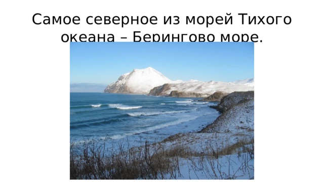 Самое северное из морей Тихого океана – Берингово море.