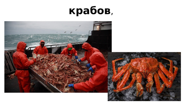 крабов ,