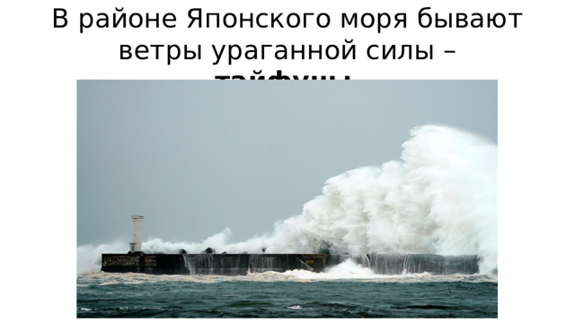 В районе Японского моря бывают ветры ураганной силы – тайфуны .