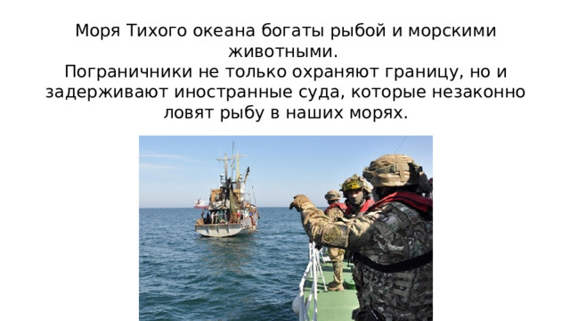 Моря Тихого океана богаты рыбой и морскими животными.  Пограничники не только охраняют границу, но и задерживают иностранные суда, которые незаконно ловят рыбу в наших морях.
