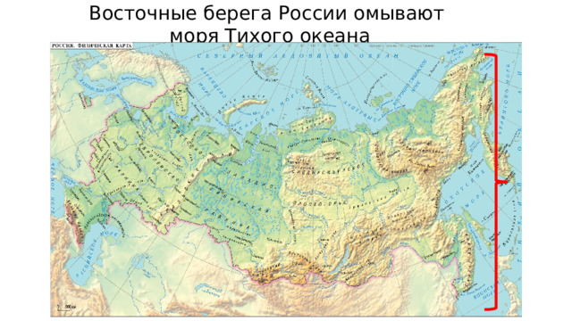 Восточные берега России омывают  моря Тихого океана