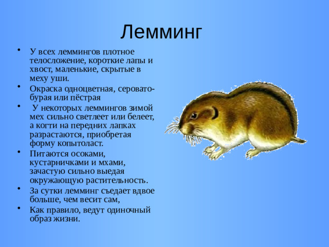 Лемминг