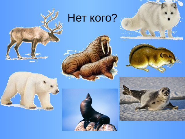 Нет кого?