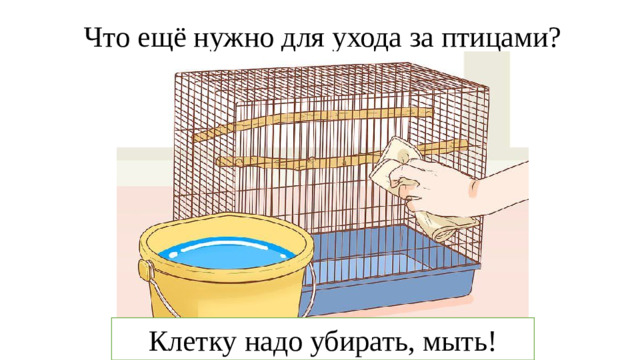 Что ещё нужно для ухода за птицами? Клетку надо убирать, мыть!