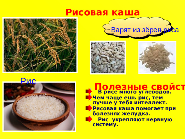 Рисовая каша  Варят из зёрен риса Рис Полезные свойства