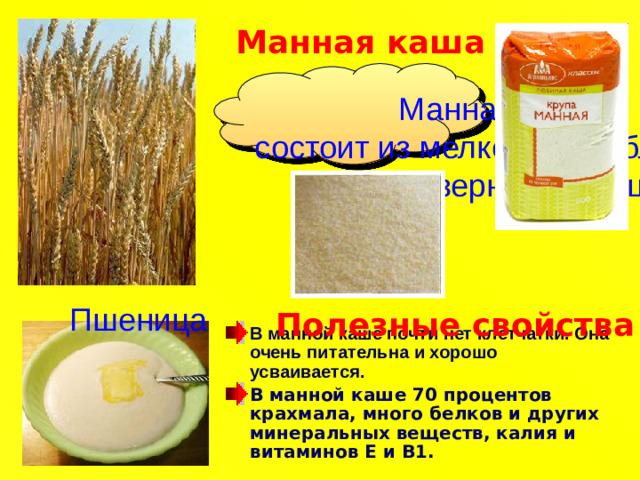 Манная каша Манная крупа  состоит из мелко раздробленных частиц зерна пшеницы. Пшеница Полезные свойства