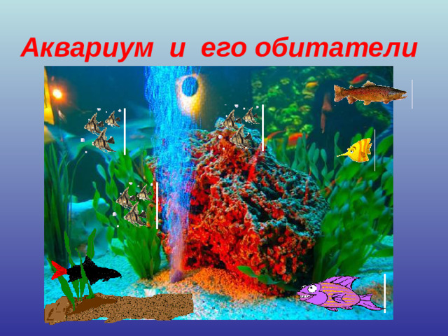 Аквариум и его обитатели »
