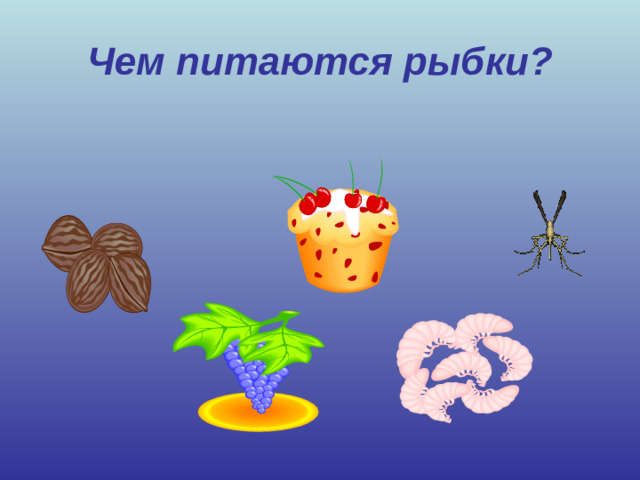 Чем питаются рыбки?