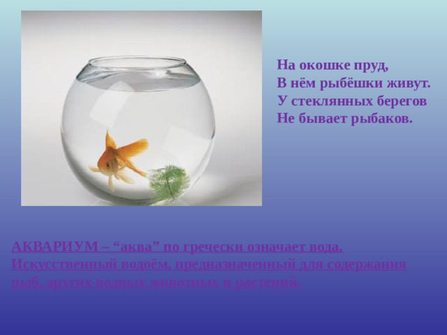 На окошке пруд,  В нём рыбёшки живут.  У стеклянных берегов  Не бывает рыбаков. АКВАРИУМ – “аква” по гречески означает вода. Искусственный водоём, предназначенный для содержания рыб, других водных животных и растений.