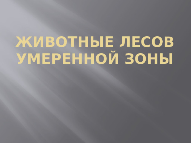 Животные лесов умеренной зоны