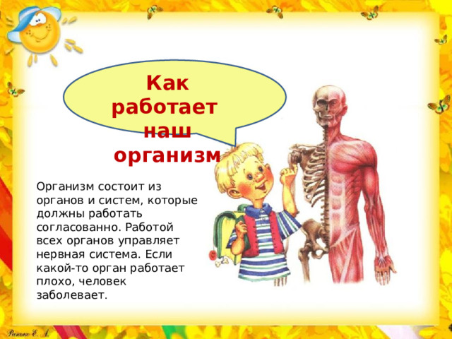 Как работает наш организм Организм состоит из органов и систем, которые должны работать согласованно. Работой всех органов управляет нервная система. Если какой-то орган работает плохо, человек заболевает .