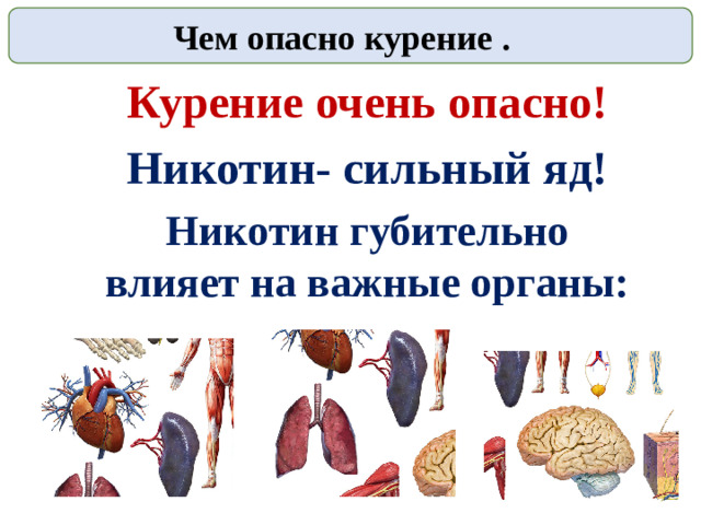 Чем опасно курение . Курение очень опасно! Никотин- сильный яд! Никотин губительно влияет на важные органы: